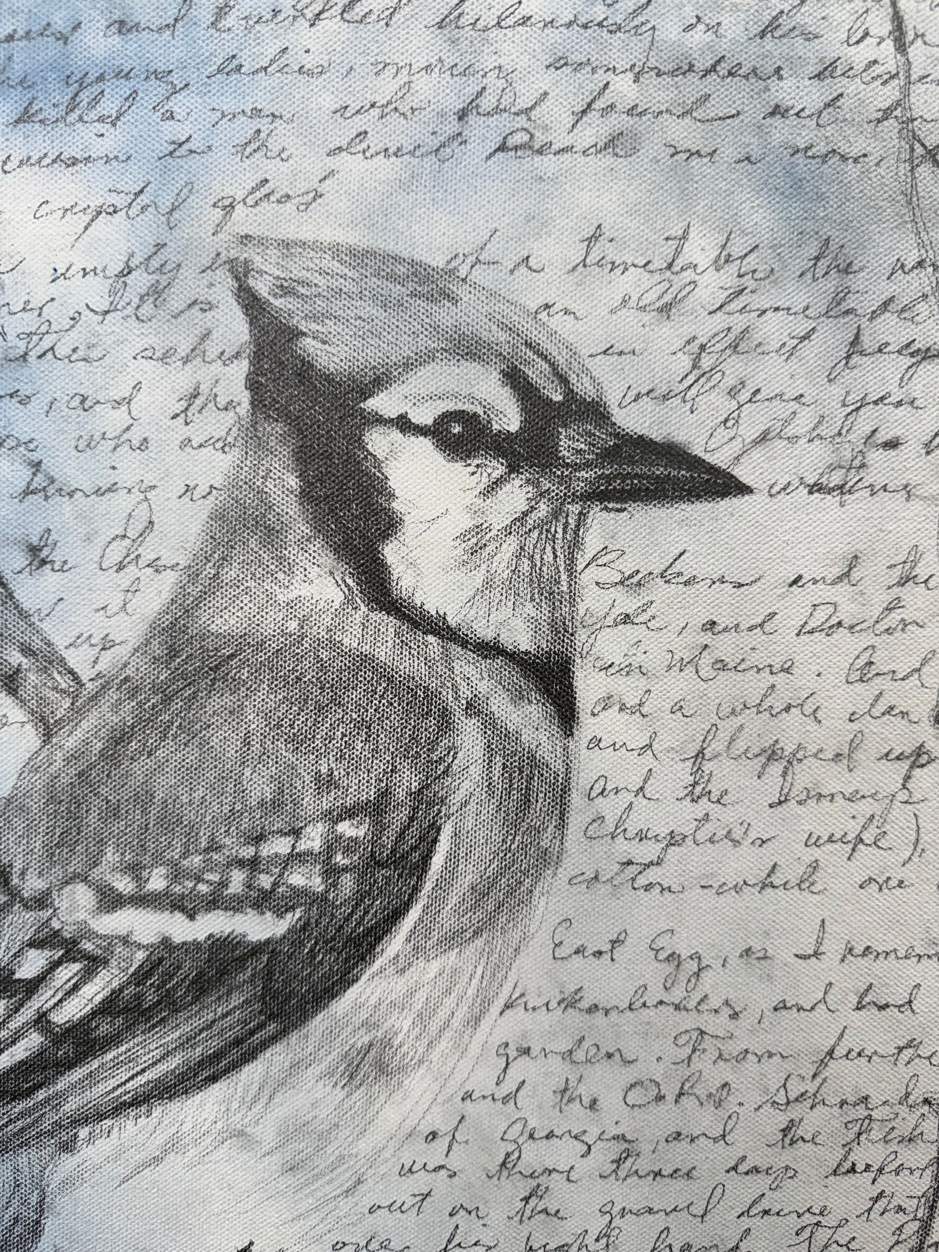 Script & Bird / Mixed media on canvas /20 x 20 inches (50 x 50cm) 2025