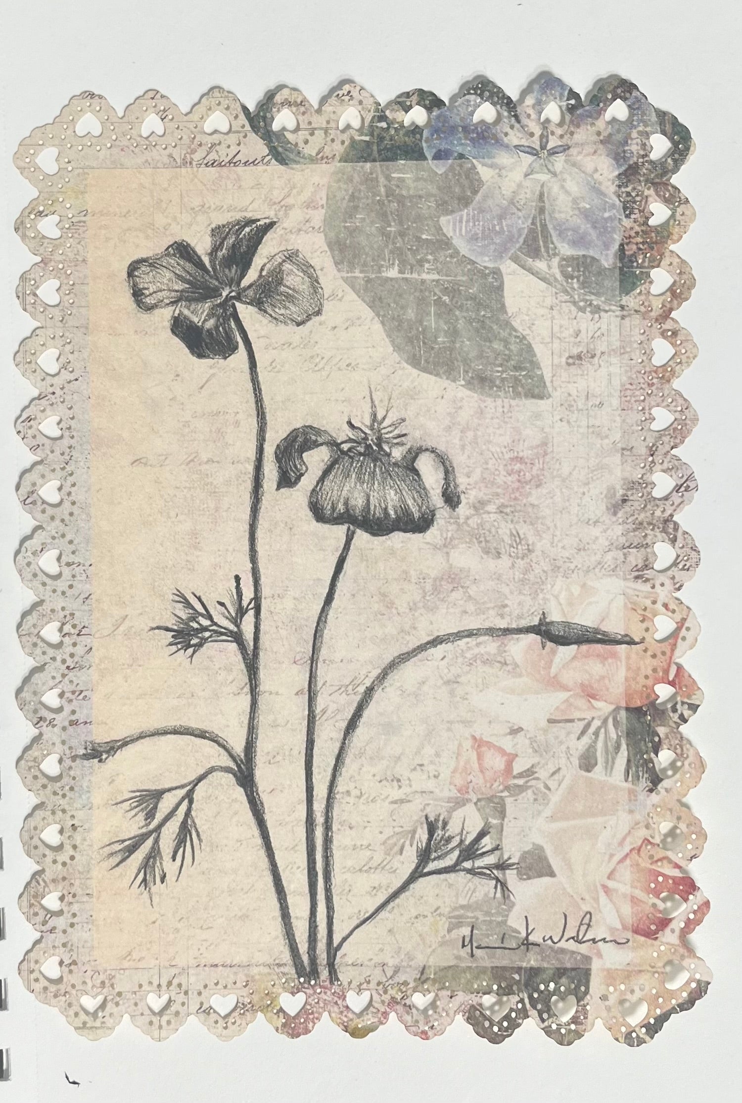 Floral Sketch #3 / Graphite drawing on Vintage paper/ 5 x 7 inches (12.7 x 17.78 cm) 2024