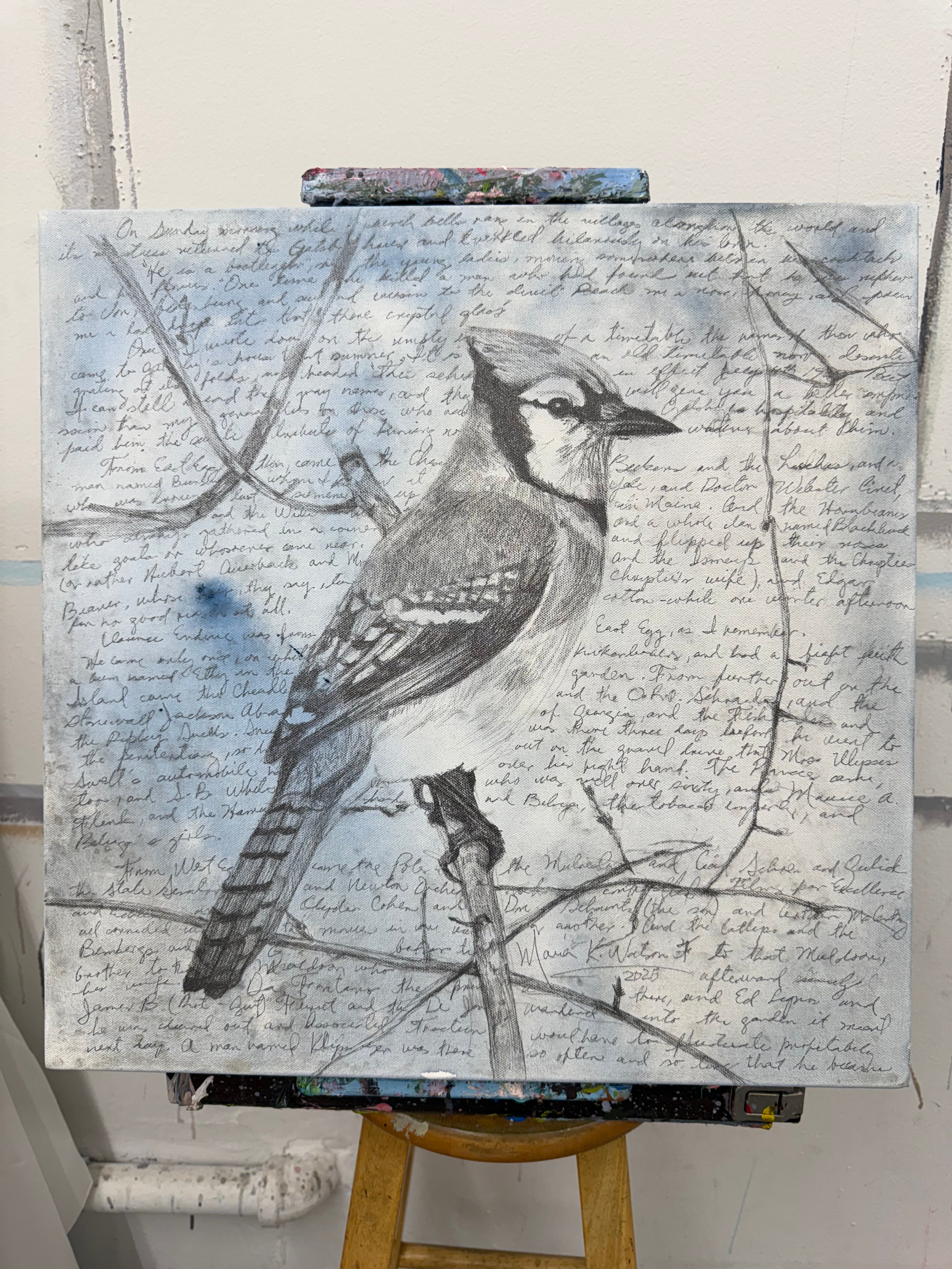 Script & Bird / Mixed media on canvas /20 x 20 inches (50 x 50cm) 2025