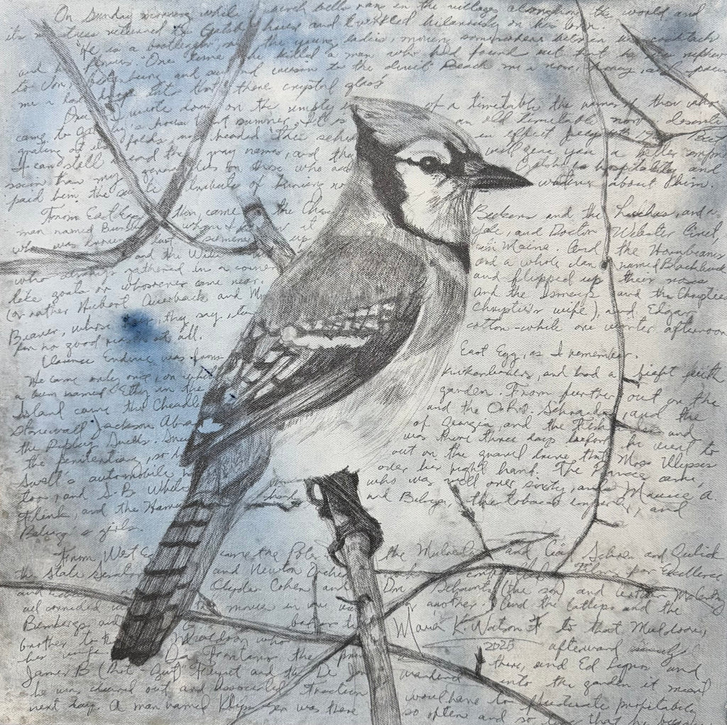 Script & Bird / Mixed media on canvas /20 x 20 inches (50 x 50cm) 2025