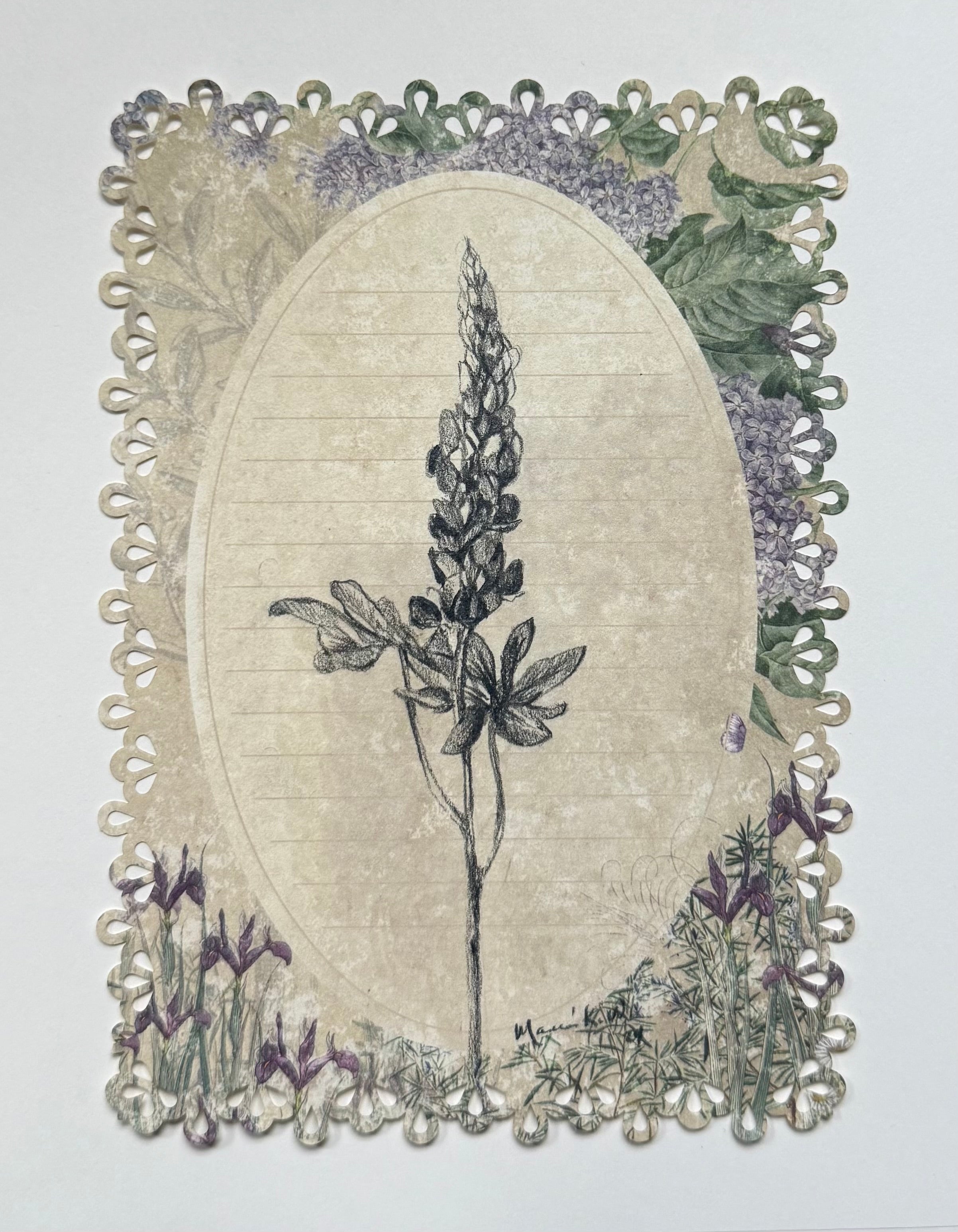 Floral Sketch #7 / Graphite drawing on Vintage paper/ 5 x 7 inches (12.7 x 17.78 cm ) 2024