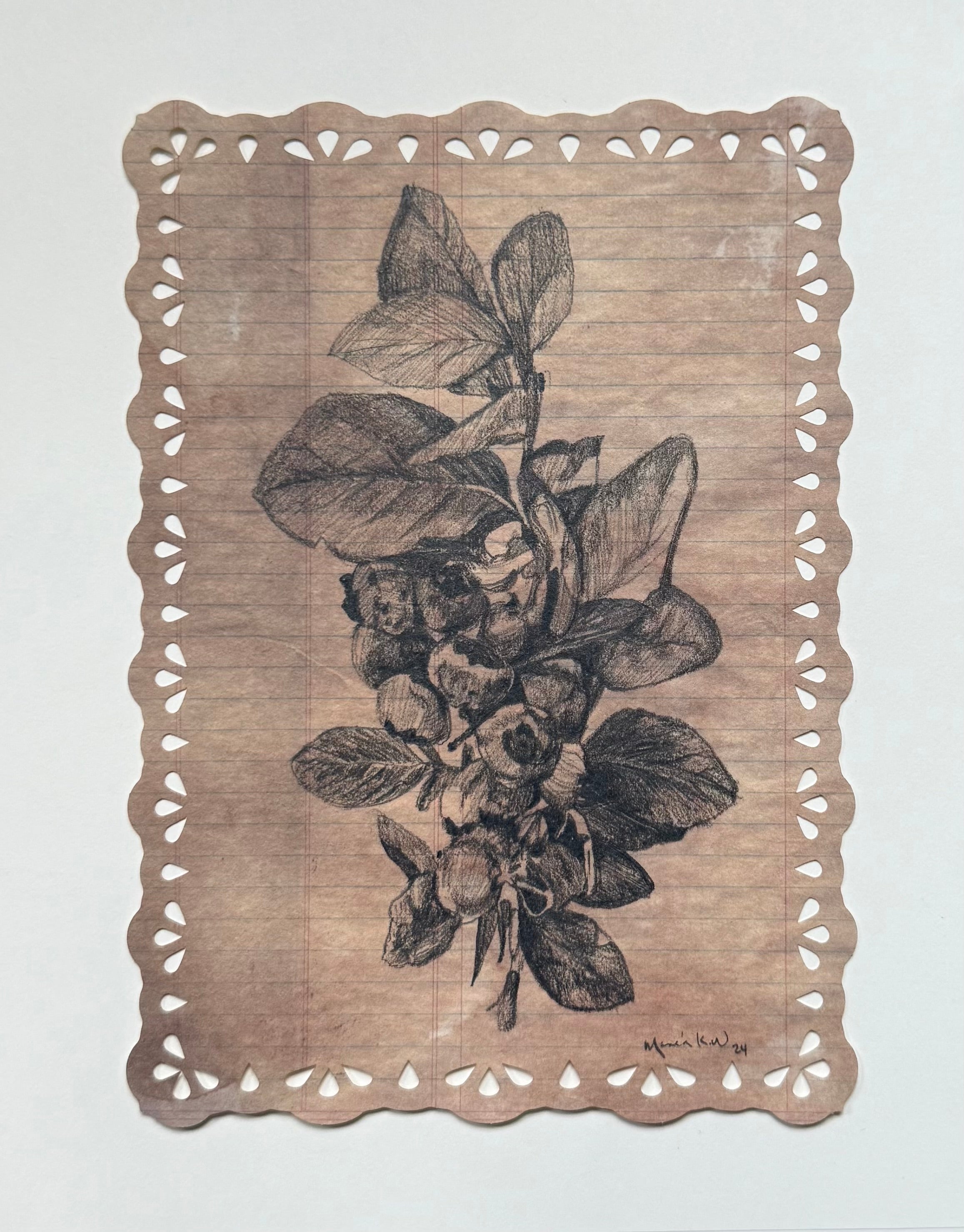 Floral Sketch #6 / Graphite drawing on Vintage paper/ 5 x 7 inches (12.7 x 17.78 cm) 2024