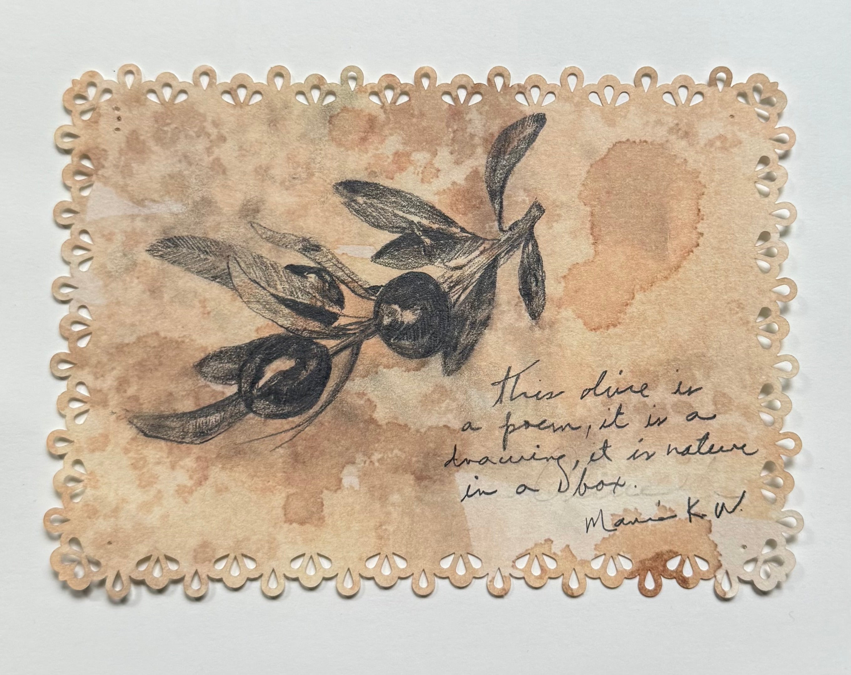 Olive branches / Graphite drawing on Vintage paper/ 5 x 7 inches (12.7 x 17.78 cm ) 2024