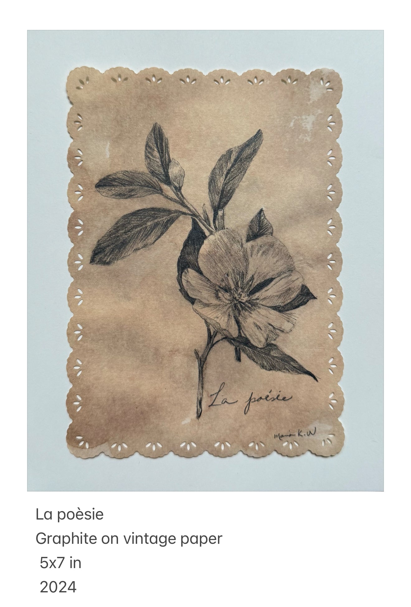 La poésie  / Graphite drawing on Vintage paper/ 5 x 7 inches (12.7 x 17.78 cm ) 2024