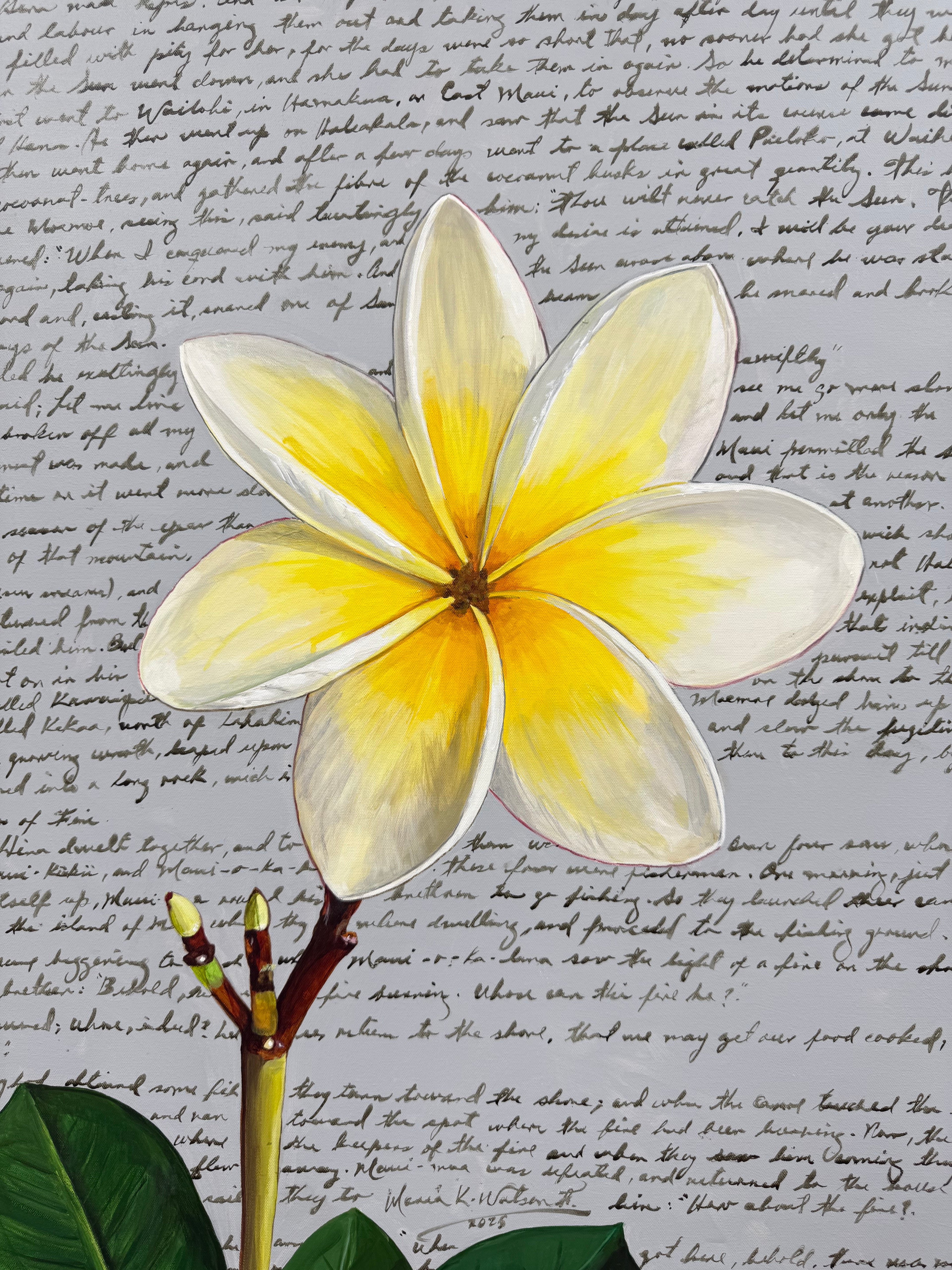 Hawaii / Acrylic on Canvas / 30 x 30 inches (76.2 x 76.2 cm) / 2025